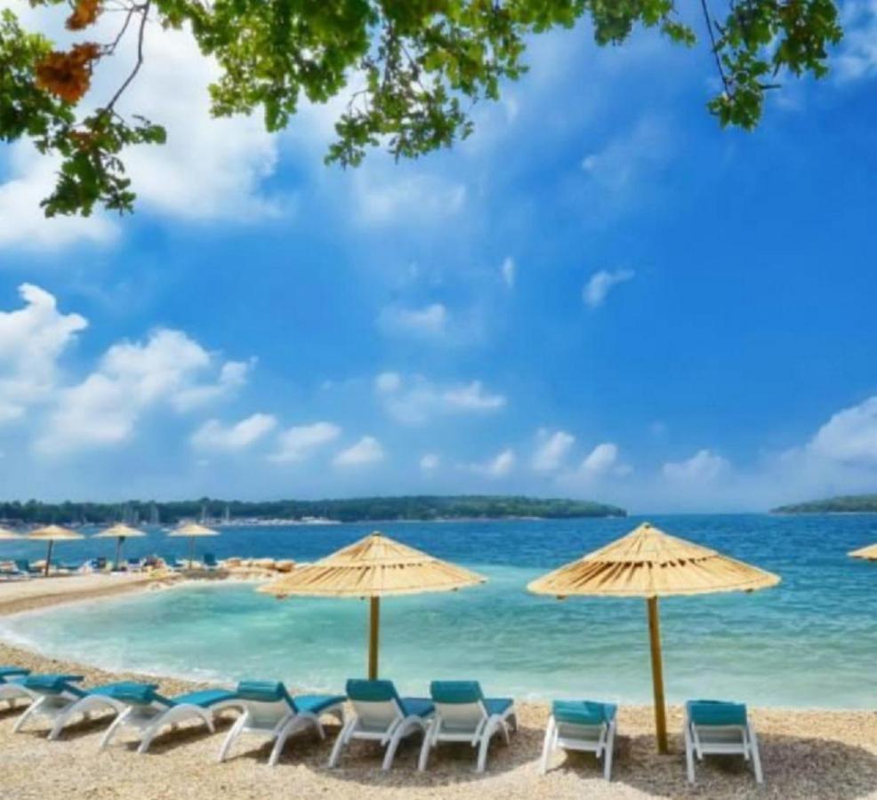 New!!! 2024 Marea Apartments With Xxl Sunny Terrace Porec Ngoại thất bức ảnh