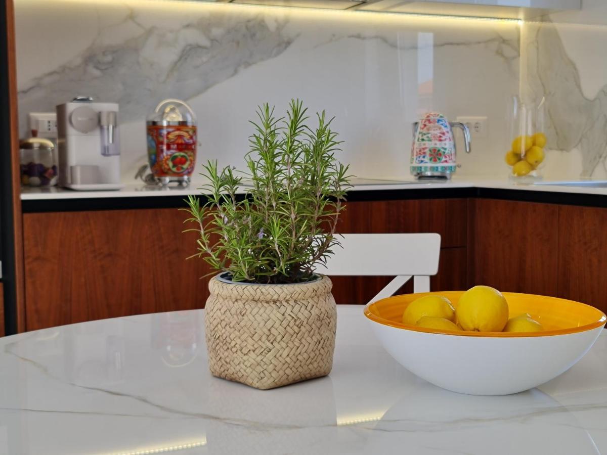 New!!! 2024 Marea Apartments With Xxl Sunny Terrace Porec Ngoại thất bức ảnh