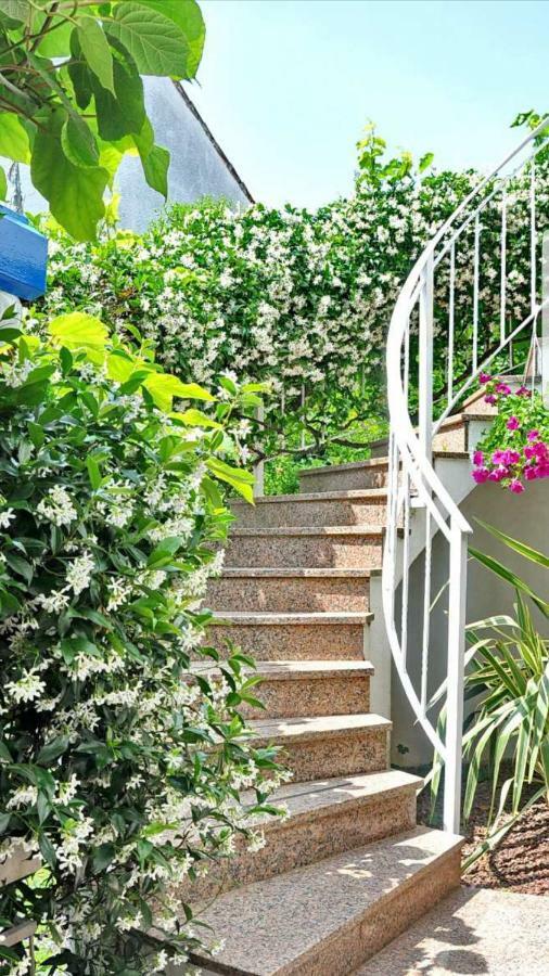 New!!! 2024 Marea Apartments With Xxl Sunny Terrace Porec Ngoại thất bức ảnh